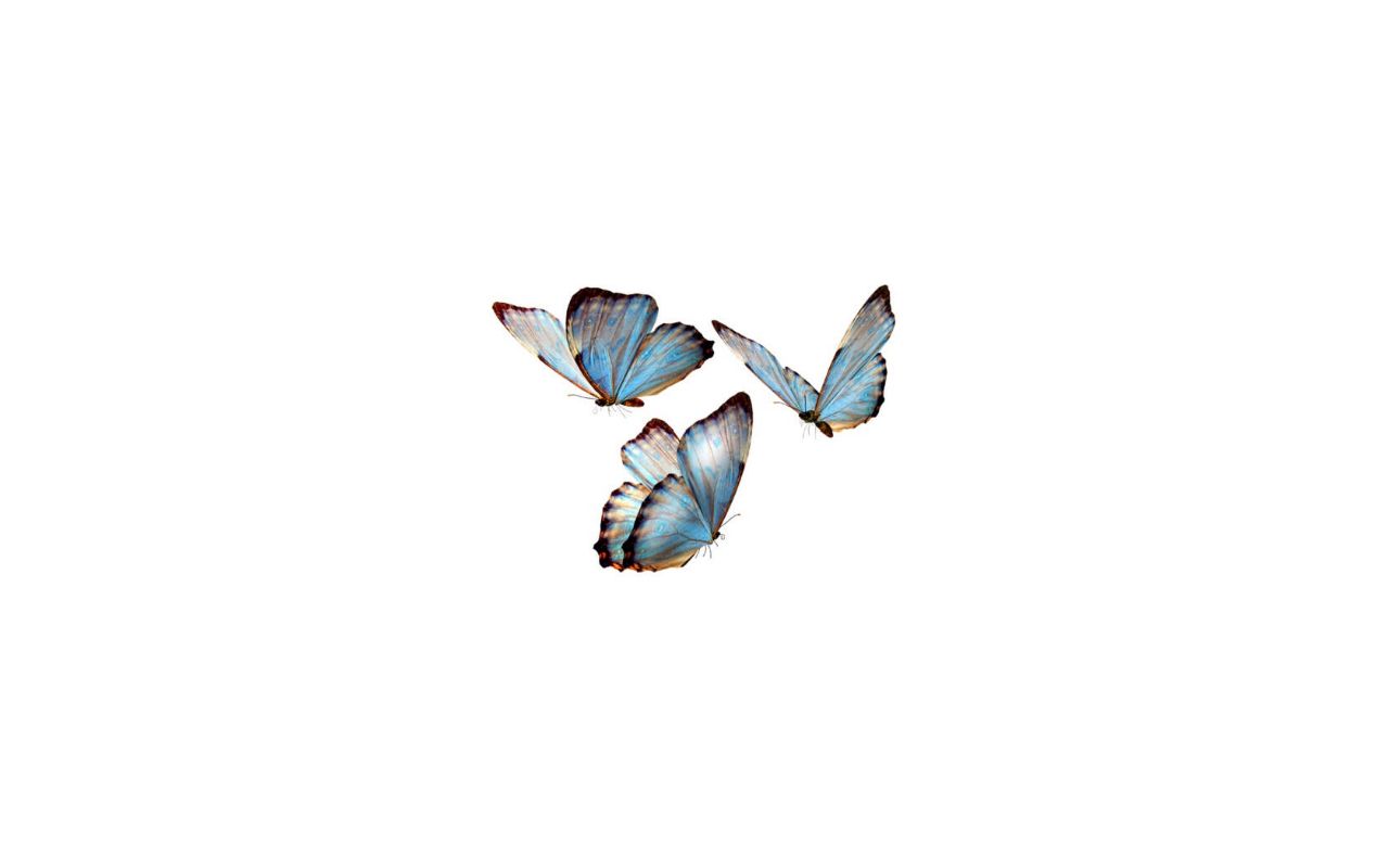 Carrd profile picture for @frustration